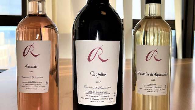DOMAINE DE RIEUCOULON
