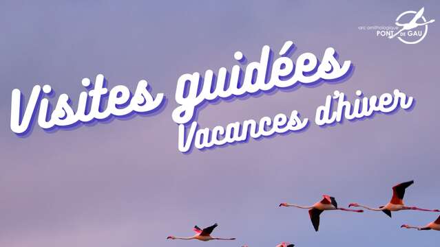 VISITES GUIDÉE VACANCES D'HIVER