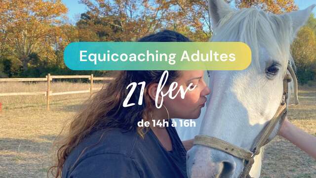 EQUICOACHING ADULTES