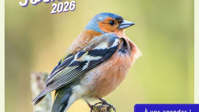 FORMATION OISEAUX DES JARDINS