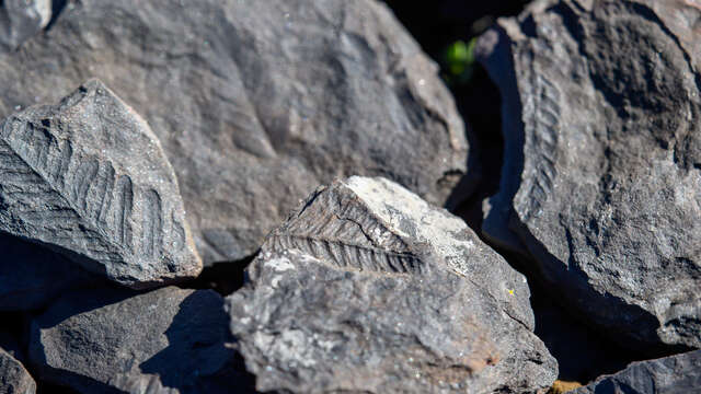 EXPOSITION : GÉOLOGIE ET PAYSAGES : DE LA PLANÈTE À L’HÉRAULT