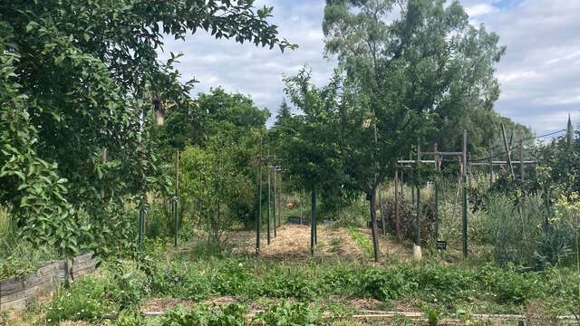 VISITE GUIDÉE DÉCOUVERTE DE LA PERMACULTURE - OASIS CITADINE