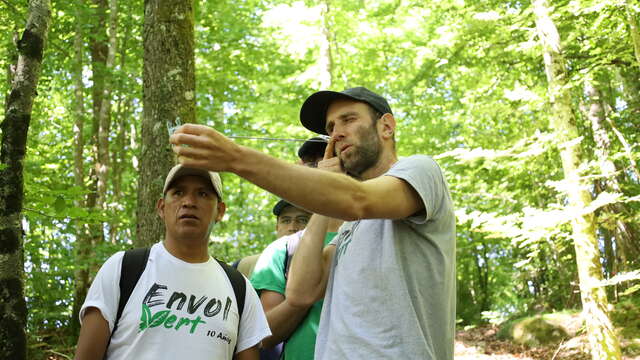 ENVOL VERT SENSIBILISATION A LA PROTECTION DES FORETS