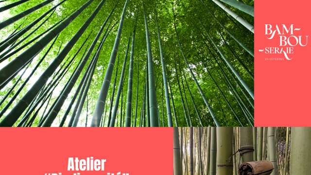 ATELIER BIODIVERSITÉ