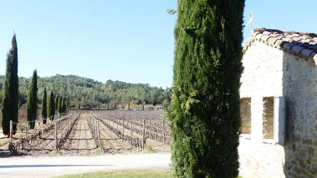 DOMAINE HAUT-LIROU - SALLE DE RÉCEPTION