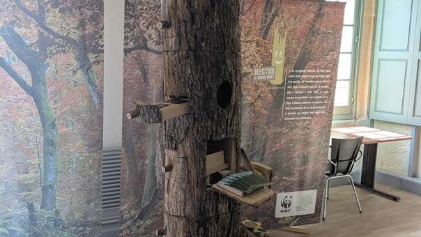 ATELIER / JEU : HECTOR UN ARBRE PLEIN DE VIE