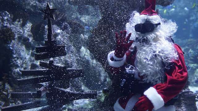 LES VACANCES DE NOEL AU PLANET OCEAN MONTPELLIER