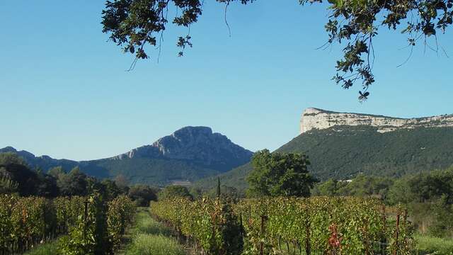 HERAULT RIVER CANYONS & MONTPELLIER GARRIGUE COUNTRY