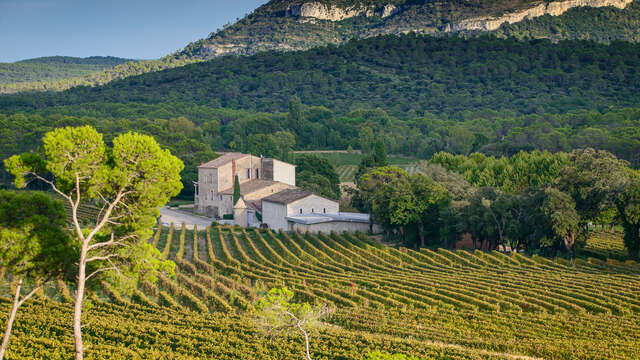 CHÂTEAU LA ROQUE