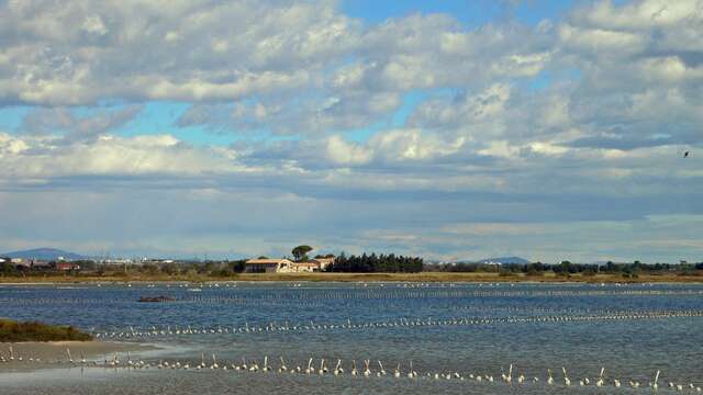 SALT-PANS WALK