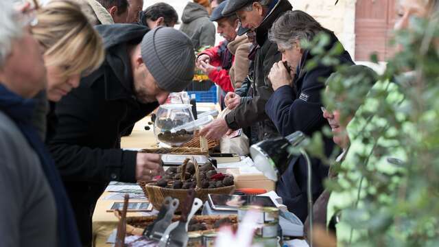FÊTE DE LA TRUFFE À SAINT-GENIÈS-DES-MOURGUES