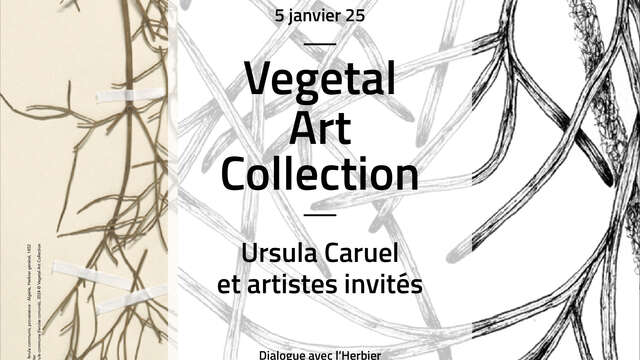 EXPOSITION "VEGETAL ART COLLECTION, URSULA CARUEL ET ARTISTES INVITÉS. DIALOGUE AVEC L’HERBIER DE L’UNIVERSITÉ DE MONTPELLIER "