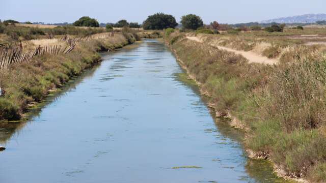 LE SITE NATUREL PROTÉGÉ DES SALINES DE VILLENEUVE