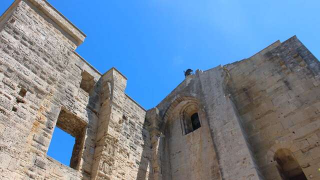 CATHEDRALE SAINT PIERRE DE MAGUELONE