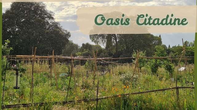 VISITE GUIDÉE DÉCOUVERTE DE LA PERMACULTURE - OASIS CITADINE