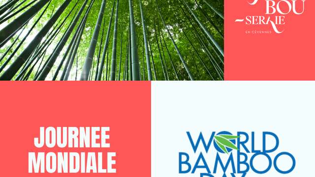 JOURNÉE MONDIALE DU BAMBOU