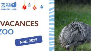 MES VACANCES AU ZOO - NOËL