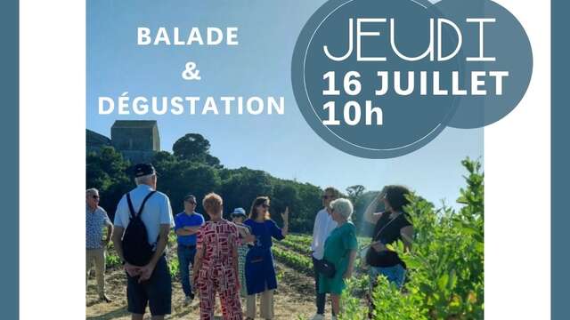BALADE OENOTOURISTIQUE ET DÉGUSTATION AU COMPTOIR DES COMPAGNONS
