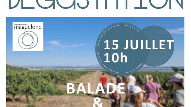 BALADE OENOTOURISTIQUE ET DÉGUSTATION AU COMPTOIR DES COMPAGNONS
