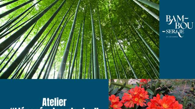 ATELIER “L’ÉPOPÉE DES PLANTES”