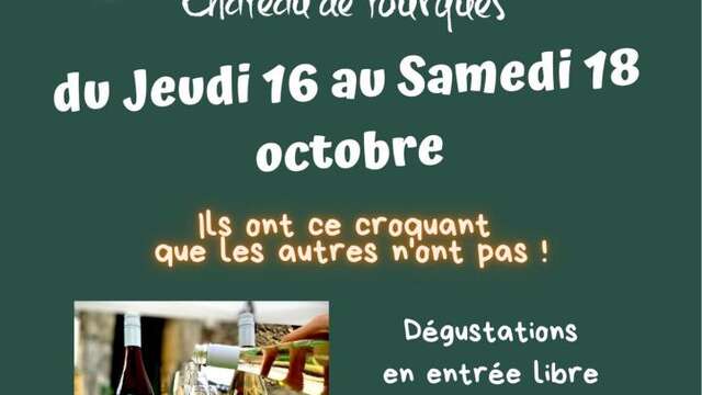 SORTIE DES VINS PRIMEURS 2025