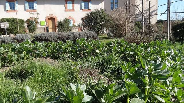 ATELIER INITIATION JARDINAGE BIO