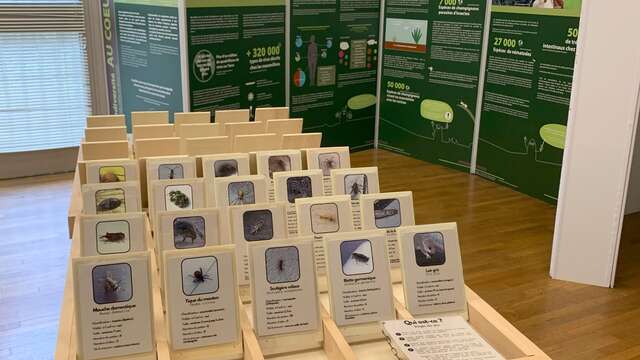 VISITES COMMENTÉES D'EXPOSITIONS POUR ENFANT : LES MERCREDI DE LA BIODIVERSITÉ
