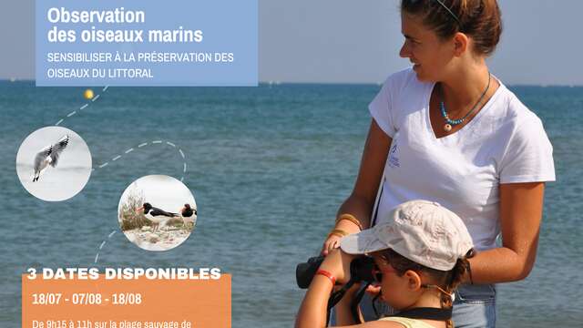 SORTIES ORNITHOLOGIQUES PARTICIPATIVES
