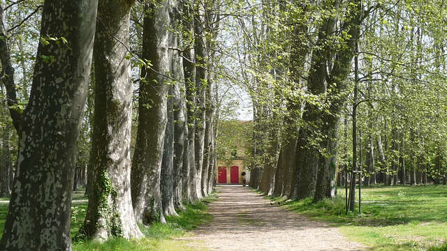 CHÂTEAU DES EVÊQUES (DIT CHÂTEAU DE LAVÉRUNE)