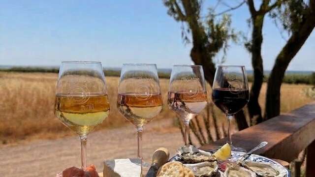ACCORDS METS & VINS