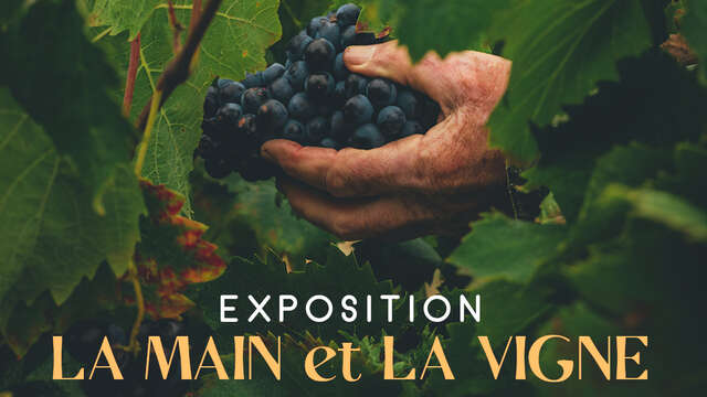 EXPOSITION LA MAIN ET LA VIGNE
