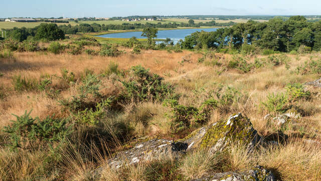 Balade à Roulettes® - Le domaine de Careil (n°12)