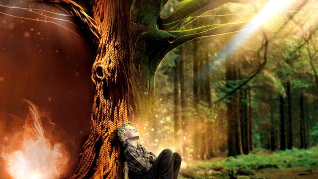 Brocéliande, la Porte des Secrets