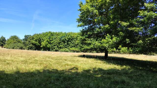 Balade à Roulettes® - Le Parc de l'an 2000 (n°14)