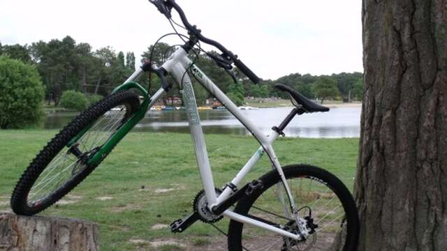Base VTT de Brocéliande