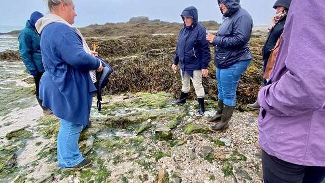 Balade autour des algues et visite de la Ferme Marine