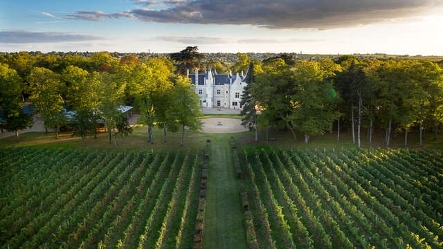 Château de la Grille