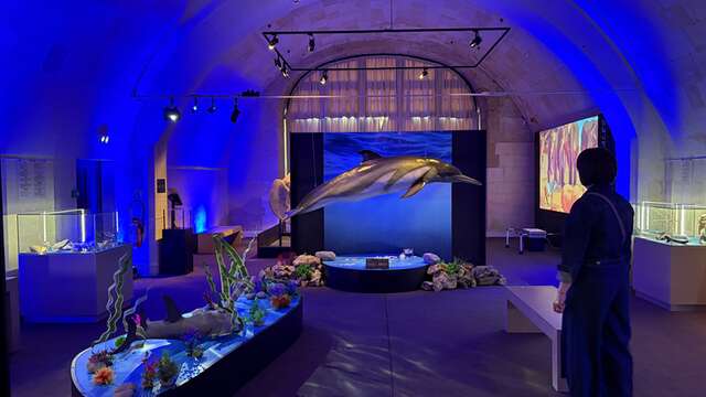 Atelier Dans la peau d'un paléontologue