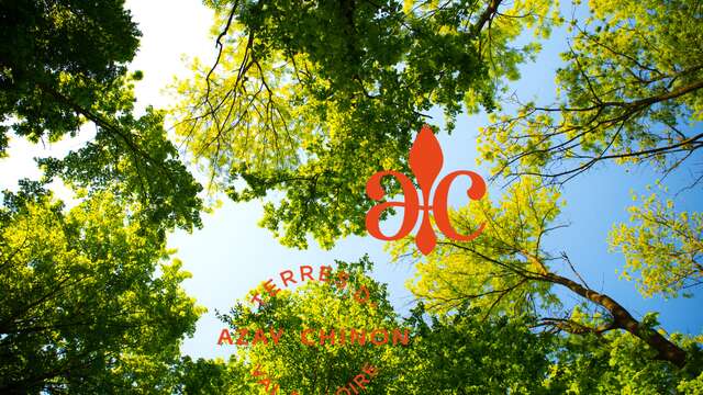 Fête des plantes - Château de l'Islette