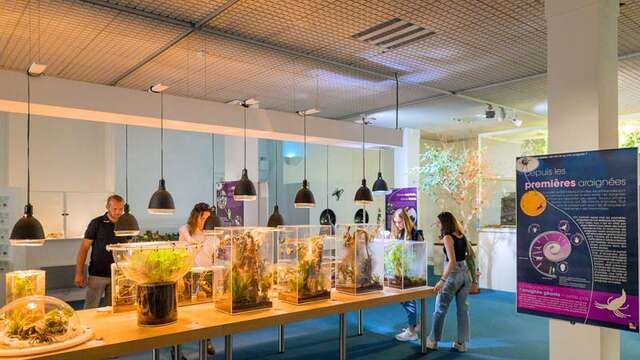 Muséum d'Histoire naturelle