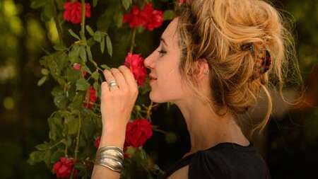 Festival des roses