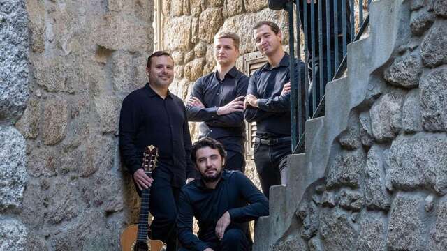 Terra Mea en concert