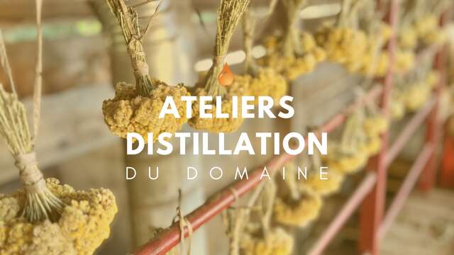 ATELIER DISTILLATION AU DOMAINE VITALBA