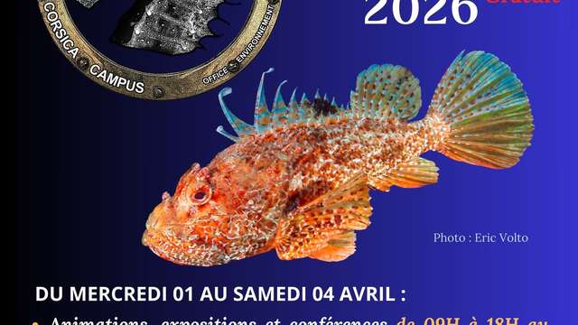 Festival Vita Marina 2026