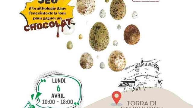 La chasse aux oeufs à la Tour de Campomoro
