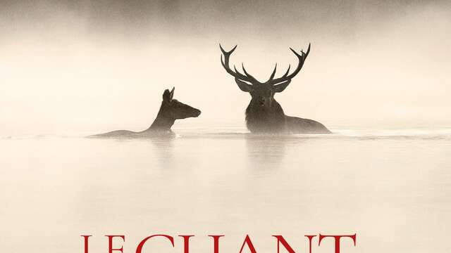 Le Chant des forêts à l'affiche