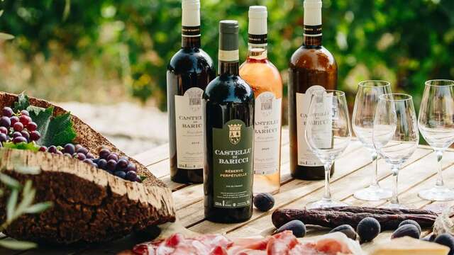 Visite oenologique au Domaine Castellu di Baricci