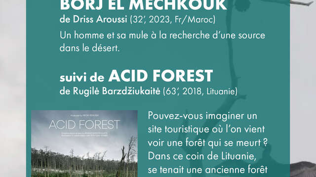 Ciné-village à Bilia : Projection des films "Borj el mechkouk" et "Acid forest"