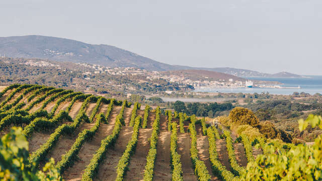 DOMAINE SANT ARMETTU