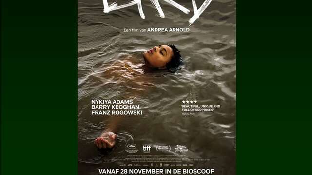 Ciné-Club au Lycée Agricole de Sartène - Bird à l'affiche